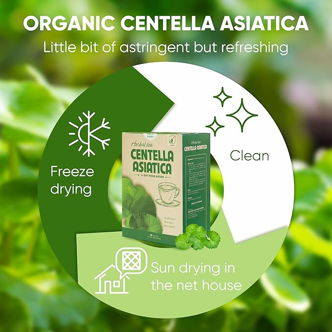 NMPT Centella Asiatica Leaf Tea, 100% Hand Pick, Organic Herbal Tea, 40 Count, Freeze Drying, Gluten Free, Dairy Free, No Sugar Added, Energy Boost & Health Support, 0.07 Oz Each