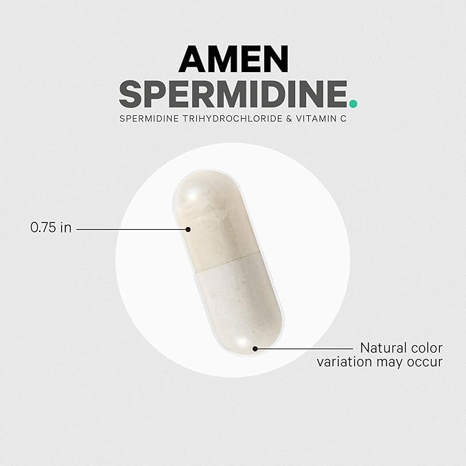 Amen Spermidine Supplement - Spermidine Trihydrochloride Pills with Vitamin C Ascorbic Acid - Only 1 Capsule Per Serving - Vegan, Non-GMO, Gluten-Free - 30 Capsules