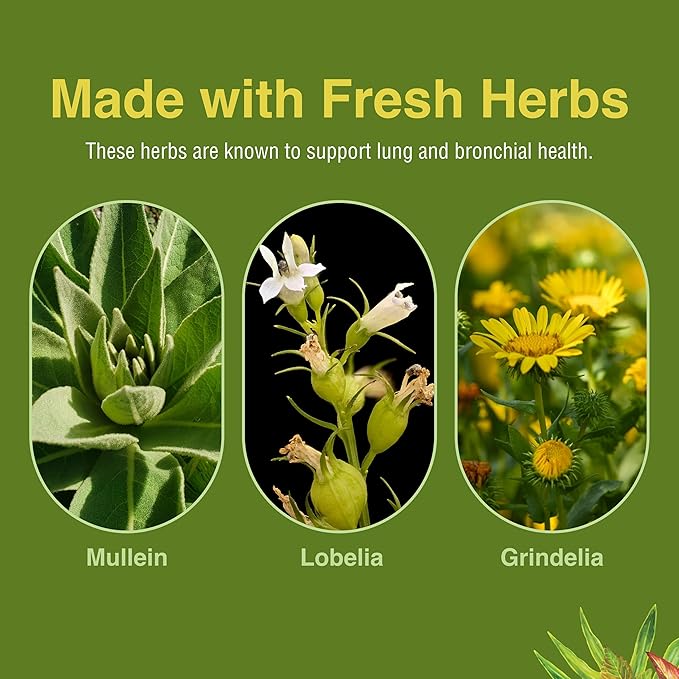 Herbs Etc. - Lung Tonic - Promotes Healthy Lung Function - 1fl oz