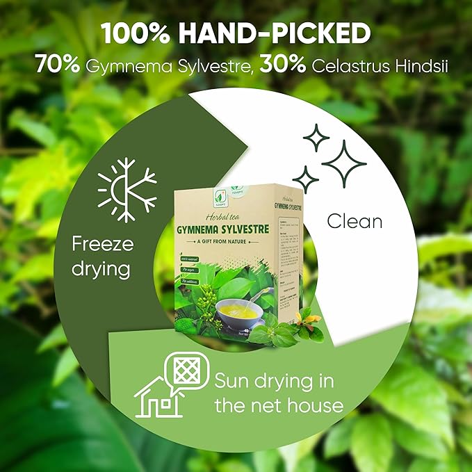 NMPT Dried Gymnema Sylvestre Leaf Tea, Celastrus Hindsii, 100% Hand Pick, Organic Herbal Tea, 40 Count, Freeze Drying, Gluten Free, Dairy Free, No Sugar Added, Energy Boost & Health Support