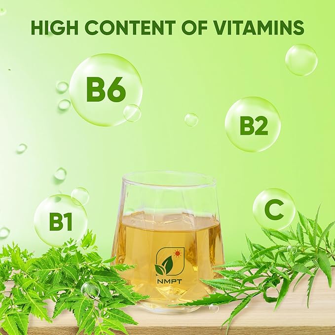 NMPT Ming Aralia Leaf Tea, 100% Hand Pick, Organic Dinh Lang Herbal Tea, 40 Count, Freeze Drying, Gluten Free, Dairy Free, No Sugar Added, Energy Boost & Health Support, 0.07 Oz Each