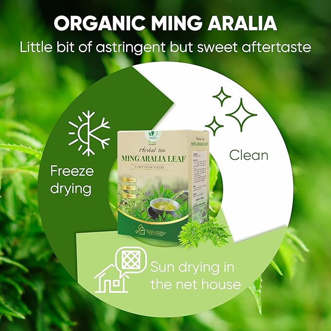 NMPT Ming Aralia Leaf Tea, 100% Hand Pick, Organic Dinh Lang Herbal Tea, 40 Count, Freeze Drying, Gluten Free, Dairy Free, No Sugar Added, Energy Boost & Health Support, 0.07 Oz Each