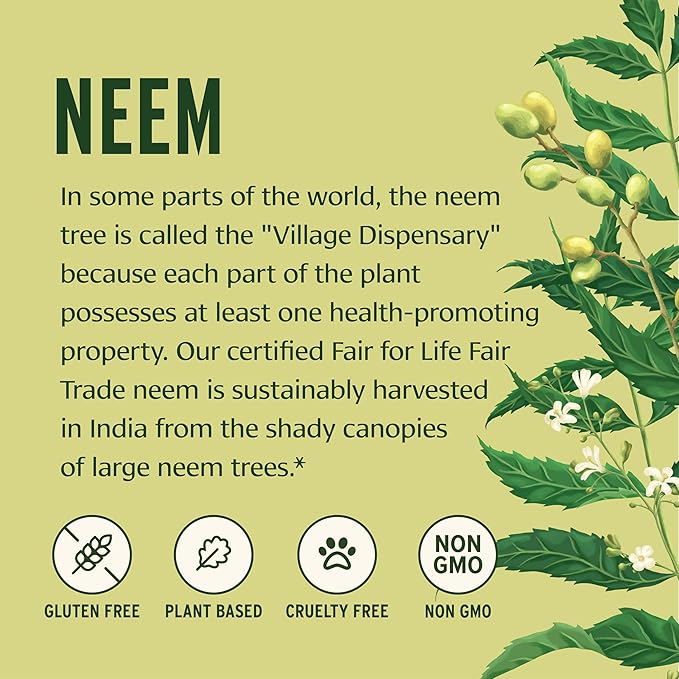 Banyan Botanicals Neem Tablets – Organic Neem Leaf (Azadirachta Indica) – Supports Natural Detoxification, Healthy Skin, and Immune Health* – 90 Tablets – Non-GMO Sustainably Sourced Vegan