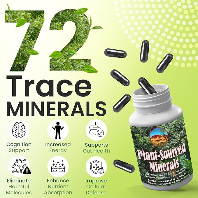 Plant-Sourced Fulvic & Humic Acid Extract Trace Mineral Supplement Blend for Immune Support, Gut Health, Cognitive Support, Vitality, Hydration & General Health - Pure Body Essentials - 60 Capsules