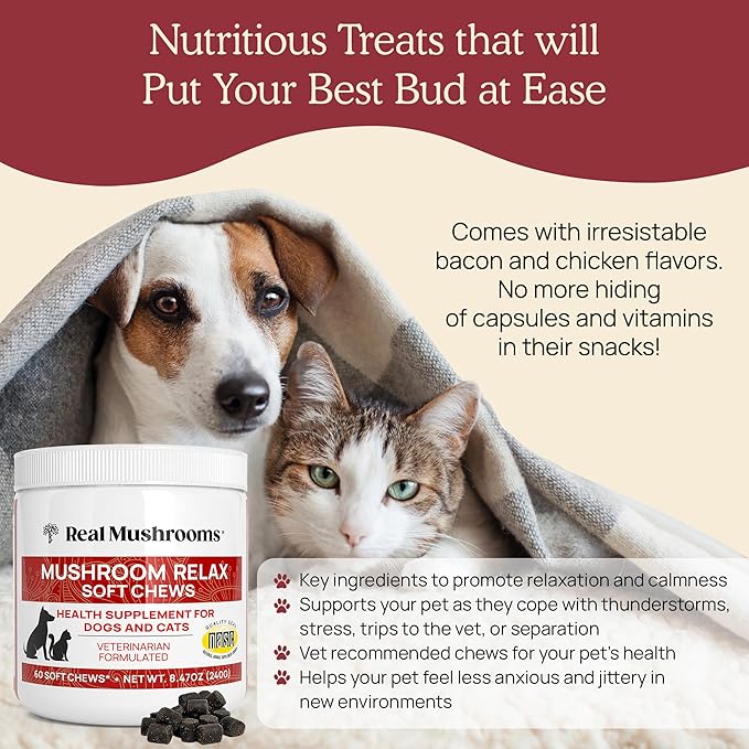 Real Mushrooms Calming Treats for Dogs & Cats – Reishi, Lion’s Mane, Botanicals – Cat & Dog Soft Chews for Daily Use – Calming Chews for Cats & Dogs – 60 ct Grain-Free Pet Bites