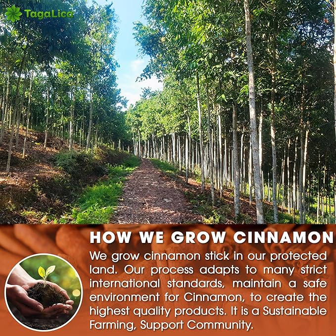 Tagalica 16 Cinnamon Tea Bags - 100% Natural & Pure Cinnamon Stick Herbal Tea. No Sugar, No Caffeine, No Gluten, Vegan