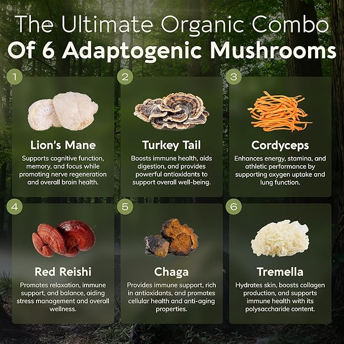 Longevity Botanicals Super Six Organic Mushroom Blend Capsules (90) | Reishi, Lion’s Mane, Chaga, Cordyceps, Tremella, Turkey Tail | Concentrated 10:1 Extract | 100% Fruiting Bodies | Mushroom Complex
