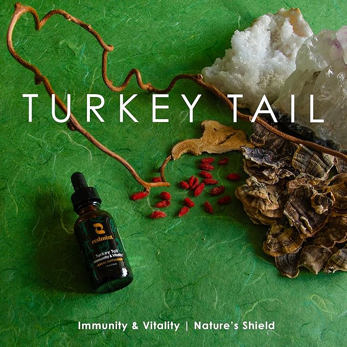 Redmint Turkey Tail Mushroom Herbal Tincture -Immunity & Vitality | Rooted in Ancient TCM Wisdom | Turkey Tail Extract for Immune Support and Digestive Health | Organic Mushroom Supplement | 1 Fl oz
