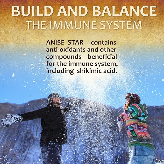 Star Anise Dietary Supplement – 100 Capsules Anise Extract for Men and Women – Natural 1000mg Powerful Formula with No Fillers, Preservatives – Immune Strength, Rich in Antioxidants