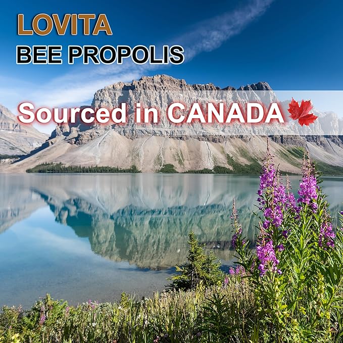Lovita Propolis Throat Spray, 18% Bioflavonoids, Sore Throat Relief, Alcohol-Free, Gentle and Tasty, 1 Fl Oz (Pack of 3)