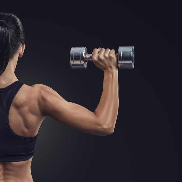 Fitness & Muscle Support