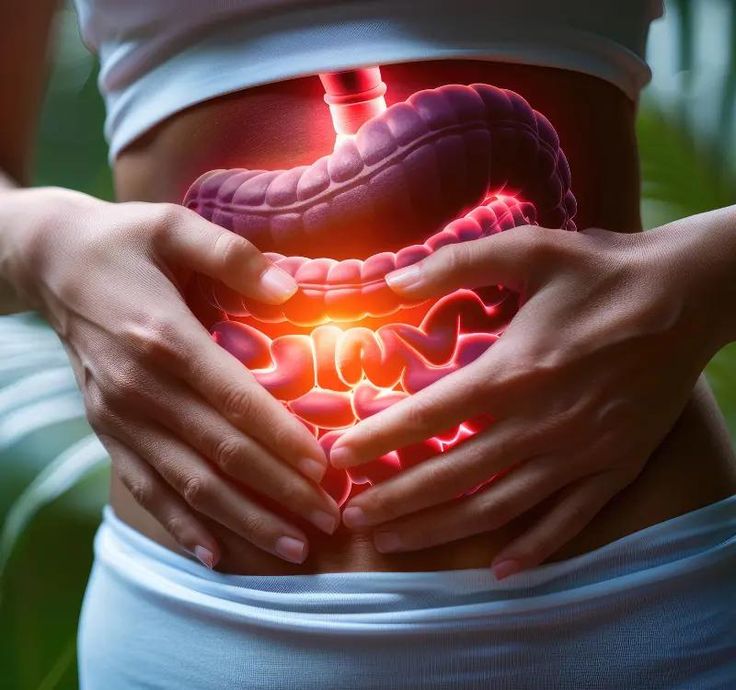 Gut & Digestive Health
