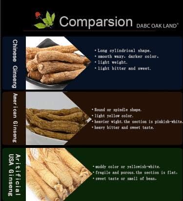 DOL Hand-Selected American Wisconsin Farmed Ginseng Root Medium&Large 美国威斯康辛州 长枝西洋参 花旗参 | Cultivated Wisconsin American Ginseng (Large 8oz/Box)