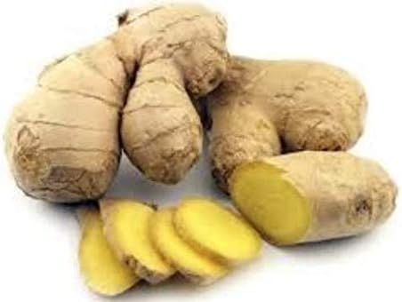 Ginger Supreme - Respiratory Harmony – Harmony Nutraceuticals Supplement for Healthy Digestion, Breathing, Circulation, and Joints