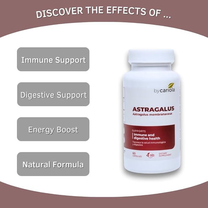 Astragalus Root Capsules - Immune & Digestive Support Supplement - Natural Formula, Boosts Energy, Improves Digestion - Astragalus Membranaceus Extract - 60 Count (30 Servings)