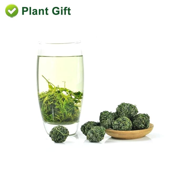 PlantGift Gynostemma Tea/Jiaogulan Tea 100G/3.52oz 绞股蓝茶 Jiaogulan Loose Leaf Tea, Premium Gynostemma Pentaphyllum Herbs, 100% Natural