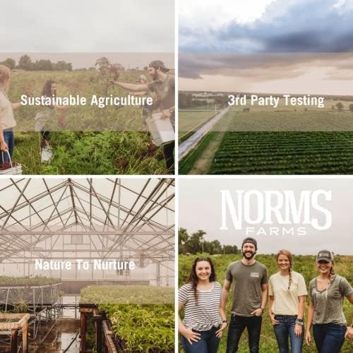 Norm's Farms Organic Elderberry Gummies - Daily Immune Support for Adults & Kids with Zinc, DE111 Probiotic, Vitamin C - Made in USA, 3rd Party Tested - Vegan, Gluten-Free, Kosher, Non-GMO, 60 Gummies