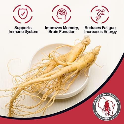 Dairyland American Ginseng Roots 西洋参 - 8 oz Pack of Wisconsin Ginseng Root - Authentic American Ginseng - Non-GMO, Gluten Free Whole Ginseng - Use This Herbal Supplement in Soup, Tea, Congee