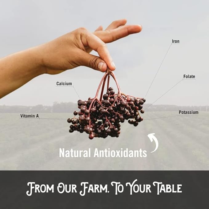 Norm's Farms Elderberry Antioxidant Gummies - Daily Refresh w/MitoHeal, 500mg Red & Black Currant Extract - Sleep, Mood, Skin, Hair & Nail Support - USA Made, Vegan, Non-GMO, Gluten-Free - 45 Gummies