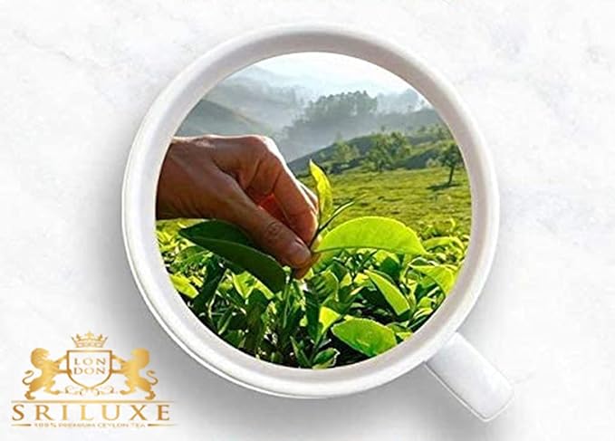 SRILUXE - Premium Quality Loose Leaf Ceylon Green Tea | 100% Natural Tea | Powerful ANTIOXIDANTS | Pure Green Tea Loose-Leaves (500g)