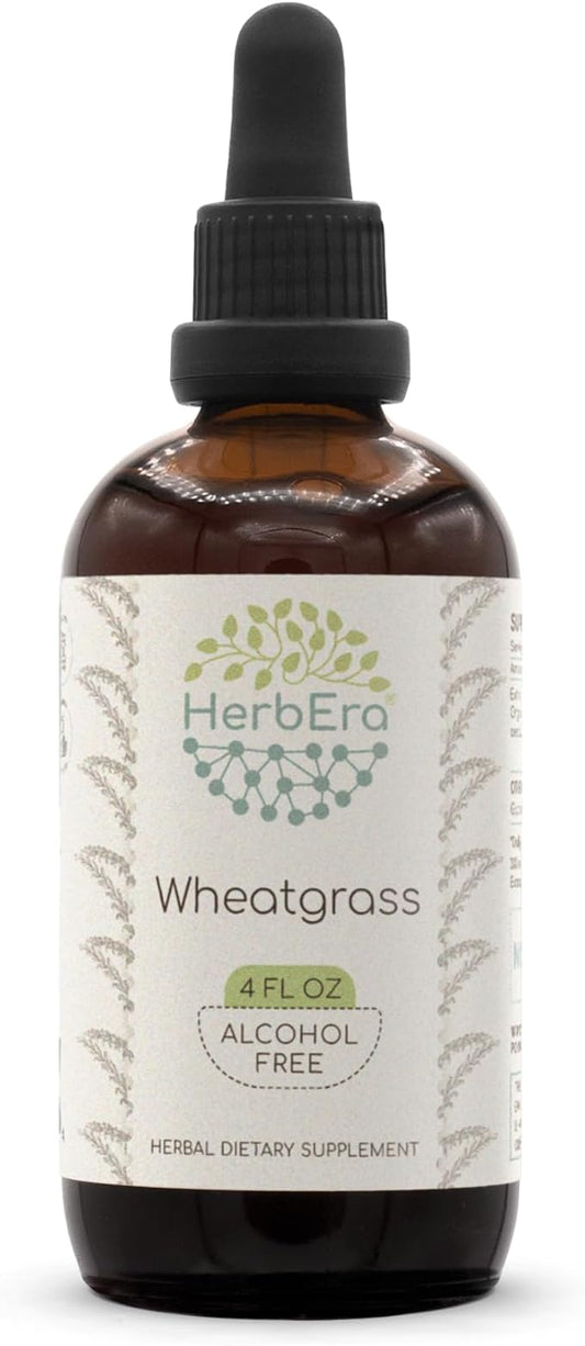 Wheatgrass B120 Alcohol-Free Herbal Extract Tincture, Concentrated Liquid Drops Natural Wheatgrass (Triticum aestivum) Dried Leaf (4 fl oz)