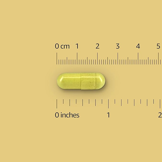 Amazon Elements Quercetin + Bromelain, 500 mg Quercetin with 150 mg Bromelain, Vegan, Pineapple, 50 Capsules