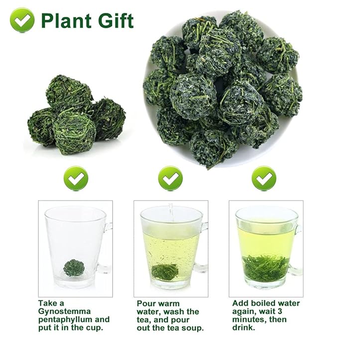 PlantGift Gynostemma Tea/Jiaogulan Tea 100G/3.52oz 绞股蓝茶 Jiaogulan Loose Leaf Tea, Premium Gynostemma Pentaphyllum Herbs, 100% Natural