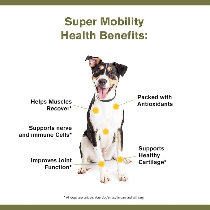 by Katherine Heigl- Super Mobility Canine Supplement Organic Ingredients Helps Maintain Healthy Cartilage, Optimal Joint Function (90 Grams, 30 Scoops)