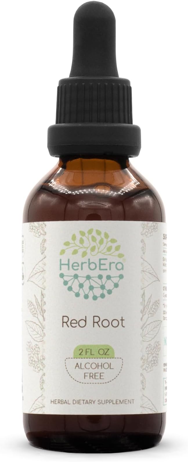 Red Root B60 Alcohol-Free Herbal Extract Tincture, Super-Concentrated (New Jersey Tea, Ceanothus Americanus) 2 fl oz