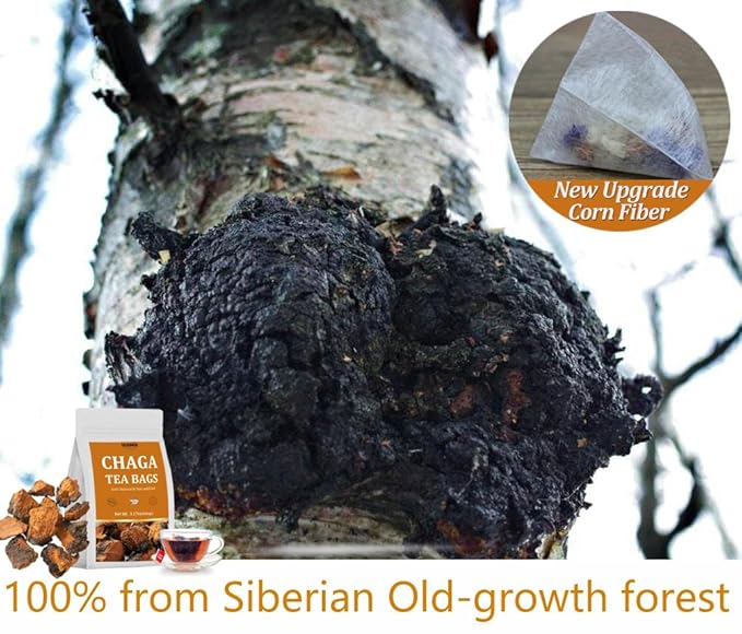 Premium 60 Chaga Tea Bags,100% Pure Siberian Wild Harvest Chaga Mushroom,No Additives,Caffeine Free.