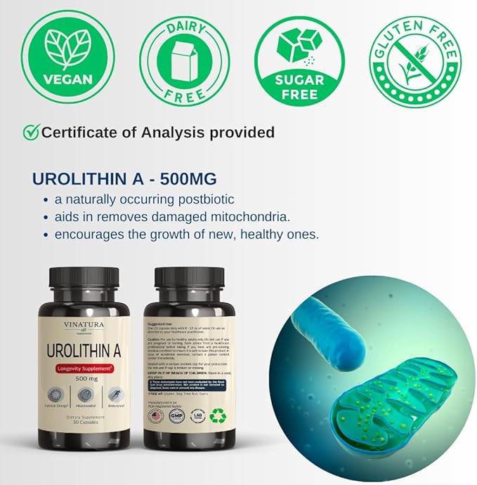Urolithin A Supplement 500mg - Urolithin A+ for Powerful Antioxidants, Anti Aging and Mitochondrial Support, 30 Capsules