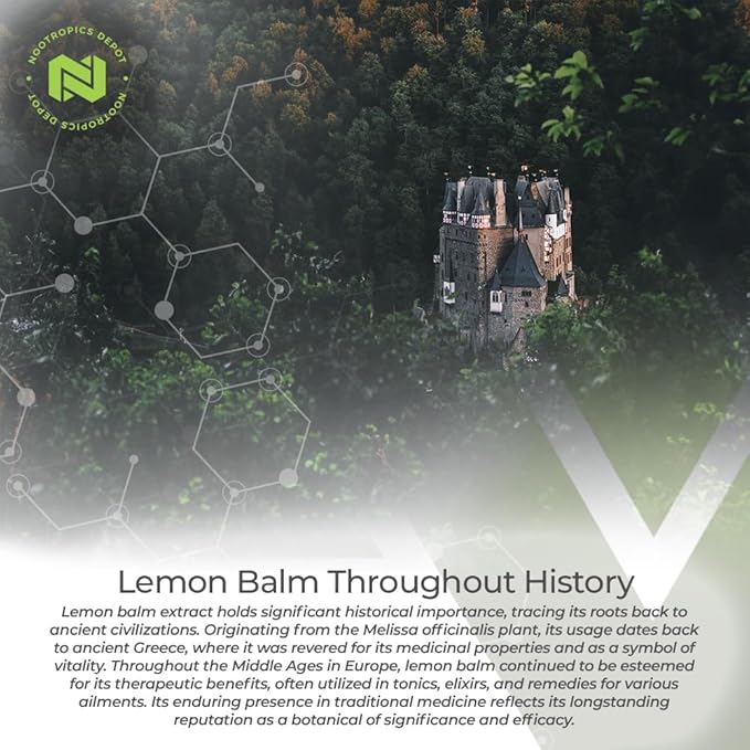 Nootropics Depot Lemon Balm Extract Tablets | 500mg | 120 Count | 10:1 Water Ethanol Extract