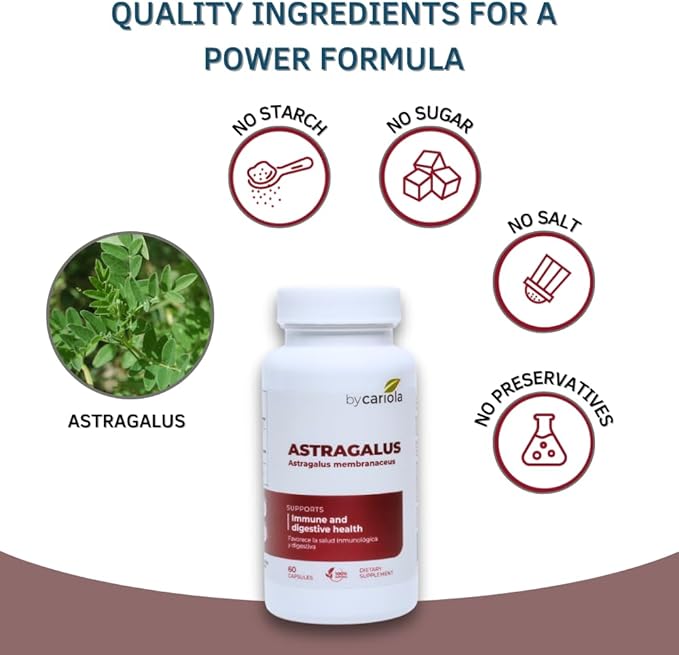 Astragalus Root Capsules - Immune & Digestive Support Supplement - Natural Formula, Boosts Energy, Improves Digestion - Astragalus Membranaceus Extract - 60 Count (30 Servings)