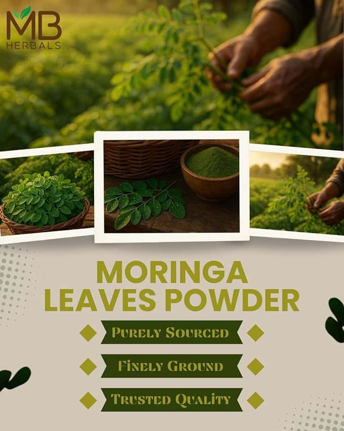 MB Herbals Moringa Leaf Powder 1 lb / 16 oz (454 Gram) | 100% Pure Moringa Powder | Easily Mixes in Drinks & Smoothies | No Preservatives