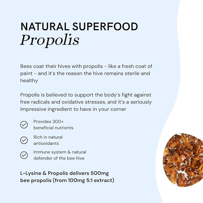 Dr Sosnowski's L-Lysine & Propolis Supplements | High Potency L Lysine Immune Support Formula with 5:1 Propolis Extract, Quercetin, VIT C, VIT E and Zinc