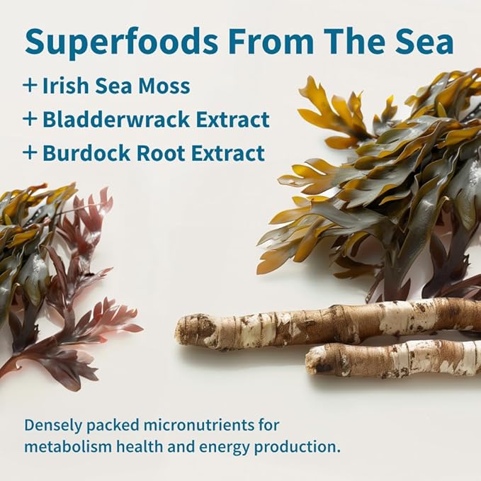 Snap Supplements Irish Sea Moss Capsules with Bladderwrack, Burdock Root & Iodine – Supports Energy, Immune Health, Digestion & Skin – 60 Capsules