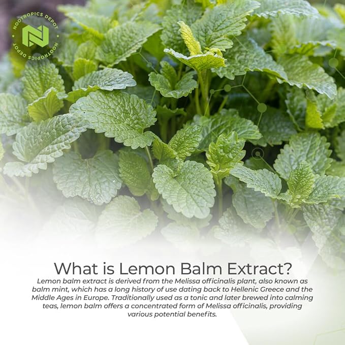 Nootropics Depot Lemon Balm Extract Tablets | 500mg | 120 Count | 10:1 Water Ethanol Extract