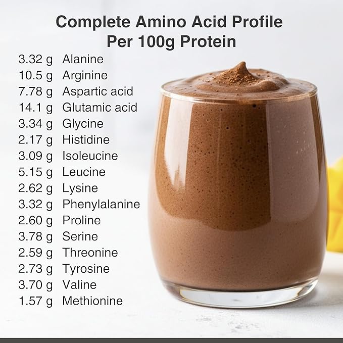Organic Hemp Protein Powder, Plant Based and Vegan Protein Shake, Lactose and Dairy Free, Gluten Free, Clean and Natural- Chocolate (20 Servings)