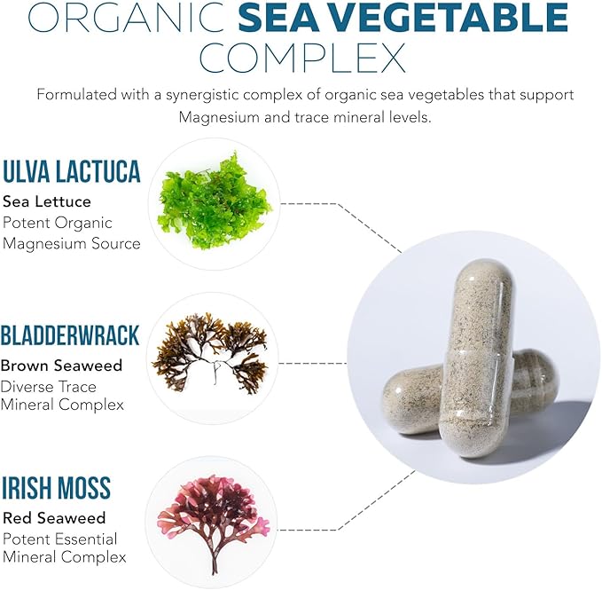 Organic Whole Food Magnesium Supplement - Plant-Based, Organic Sea Vegetable Complex - 250 mg Per Serving | Water Extracted | Gentle on Stomach | Supports Energy, Sleep, Muscle, Heart - 60 Capsules