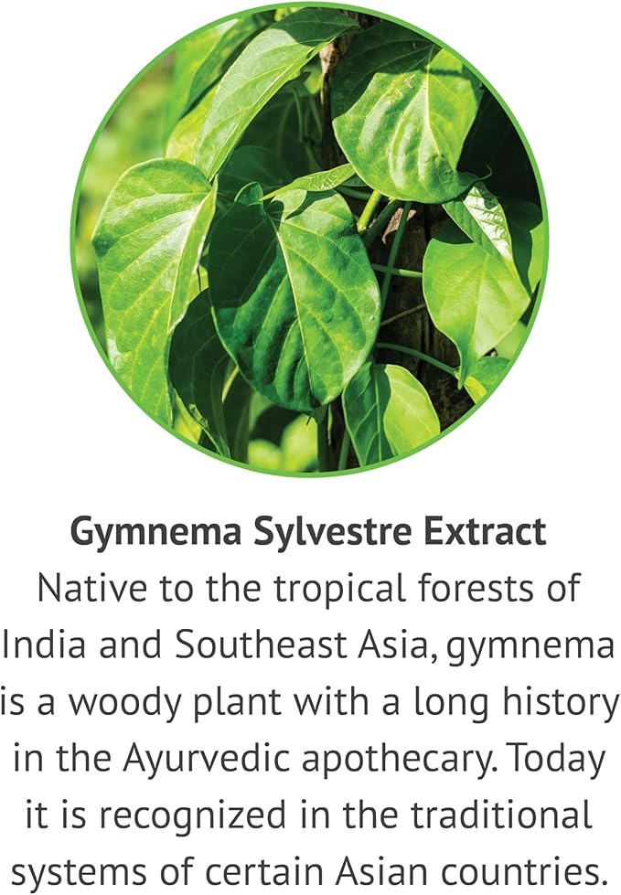 Botanic Choice: Gymnema Sylvestre Liquid Extract - Alcohol & Gluten Free, Non-GMO, 1oz 2 Pack