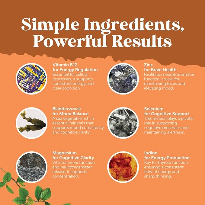 Bundle of Complete Herbal Menopause Supplement for Women for Night Sweats Mood and More with Dong Quai Vitex Chaste Berry and Herbal Thyroid Support Complex Mood Enhancer Energy Supplement for Thyroid