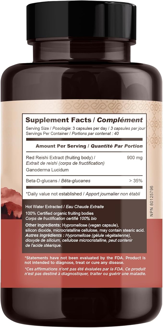 Longevity Botanicals Reishi Mushroom Extract Capsules (120) | Concentrated 10:1 Ratio | 100% Fruiting Bodies | Lingzhi (Ganoderma lucidum) Supplement for Immune, Stress & Sleep Support