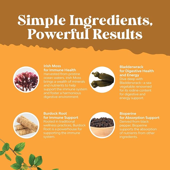 Organic Irish Sea Moss Capsules - Organic Sea Moss Pills with 2100mg Serving Superfood Complex with Bladderwrack Burdock Root and BioPerine for Immune Skin & Thyroid Support - Vegan Non-GMO (2 Month)