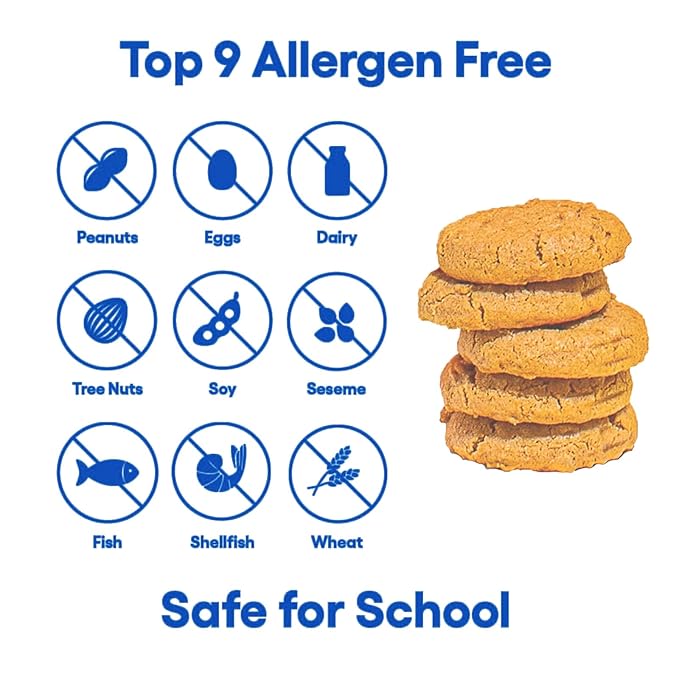 Partake Gluten Free Ginger Snap Crunchy Cookies - Vegan - Free From the Top 9 Allergens Including Dairy, Wheat, Soy, Eggs, & Peanuts - Non GMO - Safe School & Office Snack (6 Pack, 5.5oz Boxes)