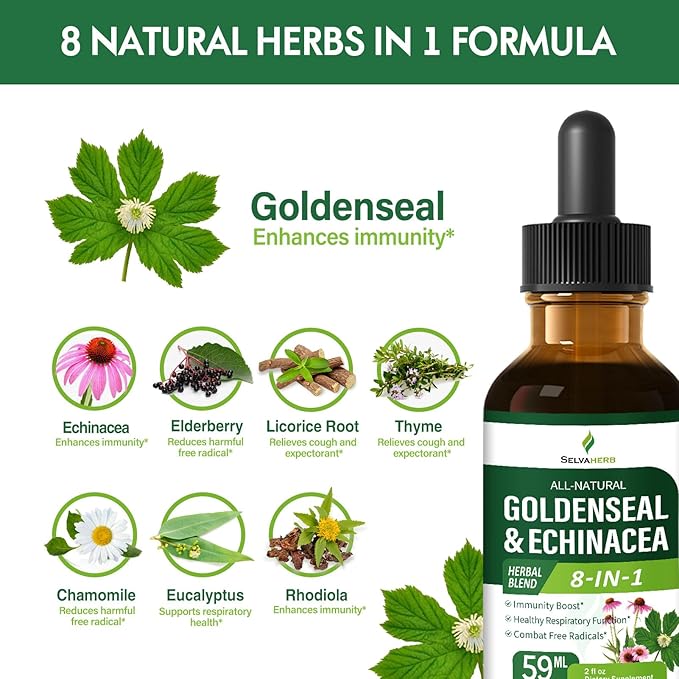 Goldenseal & Echinacea Drops for Immunity Boost, Healthy Respiratory Function, Herbal Supplements with Elderberry Licorice Root Thyme Chamomile Extract. 2oz