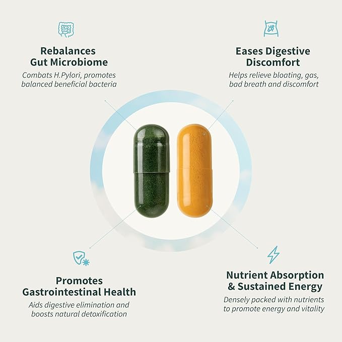 Snap Supplements Gut Health & Spirulina Chlorella Bundle – Turmeric, Aloe, Pylopass Probiotics & Alkalizing Greens Complex – Digestive, Detox & Antioxidant Support – 50 + 120 Capsules