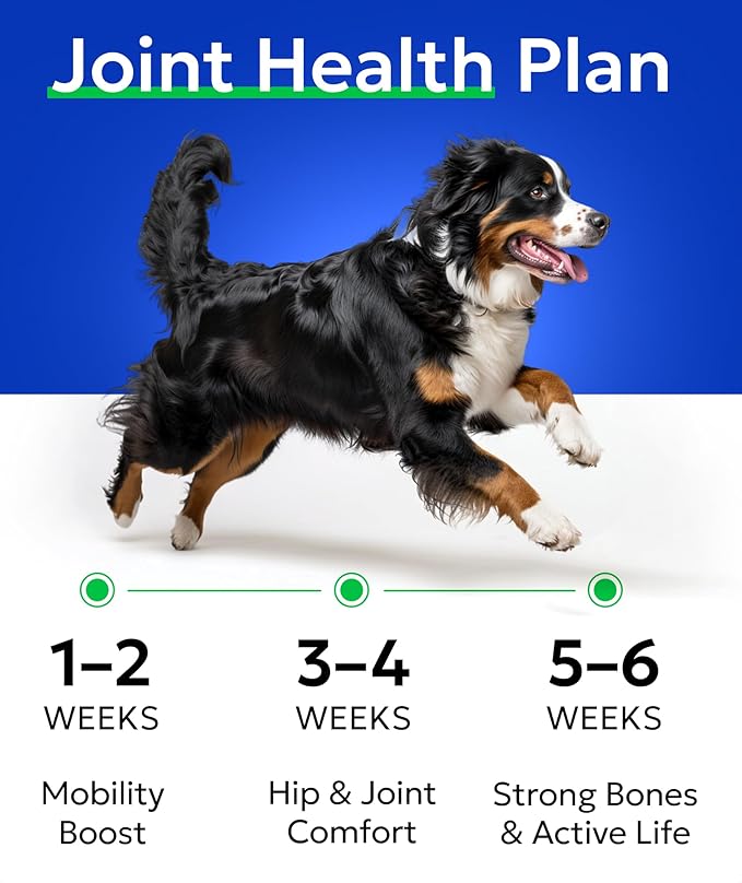Bark&Spark Glucosamine Chondroitin Dog Hip & Joint Supplement - Joint Pain Relief - Hip & Joint Chews - Joint Support Large Small Breed - Senior Doggie Vitamin Pill Joint Health (120 Treats - Chicken)