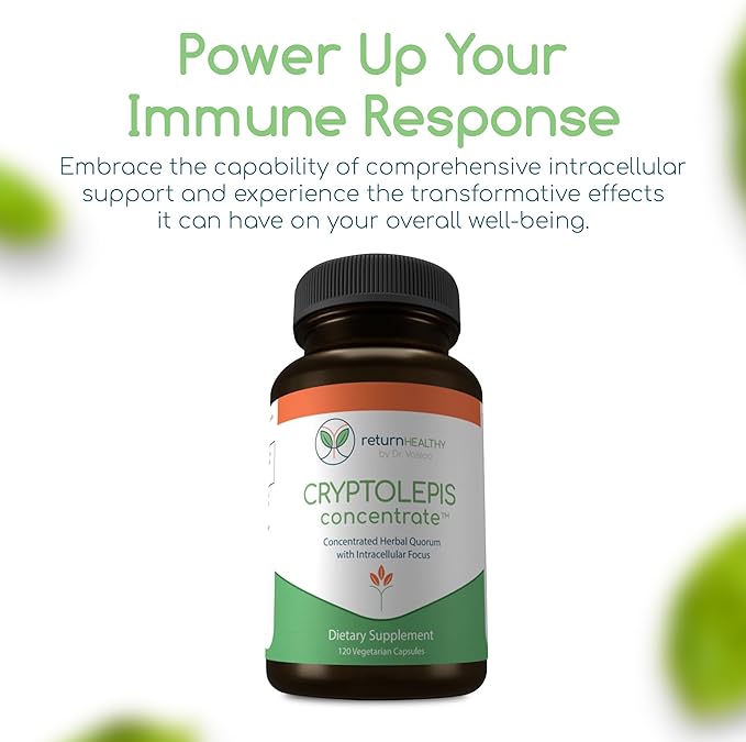 Cryptolepis Concentrate, Immune Support with Cryptolepis Sanguinolenta for Immunity Boost, Concentrated Herbal Supplements, Antioxidant & Health Supplement, 120 Capsules