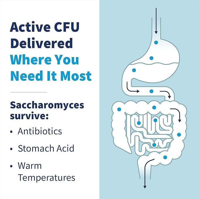 Klaire Labs SFI Health Saccharomyces Boulardii Probiotic - Acid Resistant & Shelf-Stable Supplement to Support Healthy Yeast Balance, Immune & Digestive Health - Hypoallergenic, Dairy-Free (120ct)