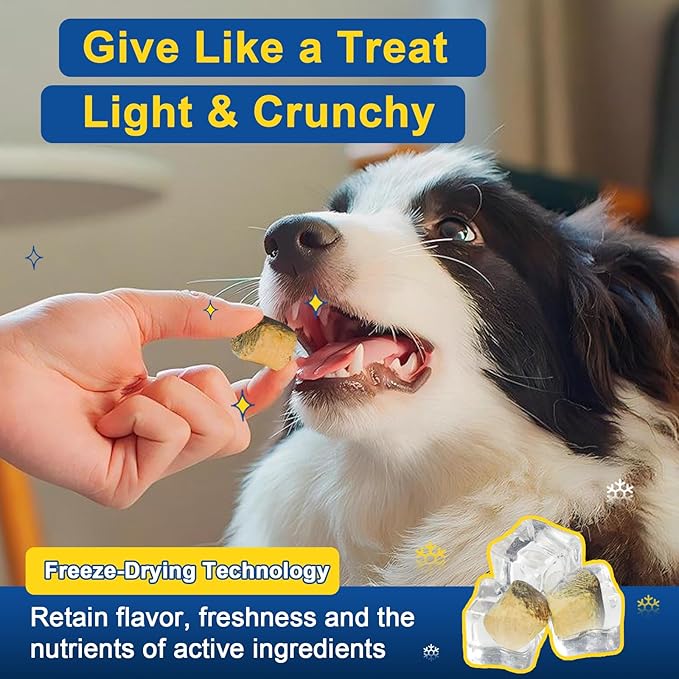 Dog Allergy Relief Chews, Itch Relief for Dogs, Colostrum, Probiotics for Dogs Support Immunity, Omega 3, Honey for Dry & Itchy Skin Relief, Seasonal Allergy, Pawlicking, Hot Spot Treatment, 120 Bites